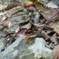 фото из отзыва ID 910425