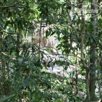 фото из отзыва ID 910425