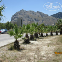 фото из отзыва ID 910447