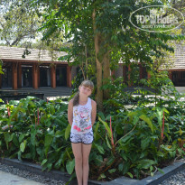 фото из отзыва ID 910471