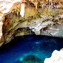 фото из отзыва ID 910059