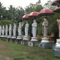 фото из отзыва ID 910606