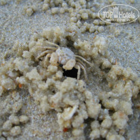 фото из отзыва ID 910664