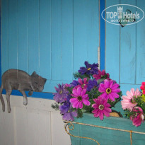 фото из отзыва ID 910664