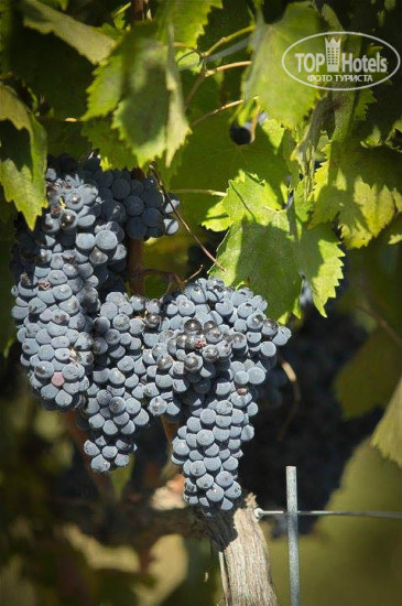 New photos from tourists Castello Toscana HV-2