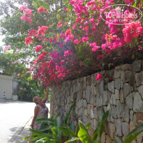 фото из отзыва ID 910534