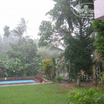 фото из отзыва ID 910843