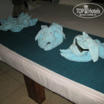 фото из отзыва ID 910843