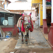 фото из отзыва ID 910170