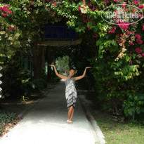 фото из отзыва ID 911530