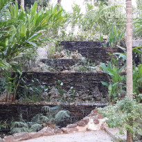 фото из отзыва ID 911553