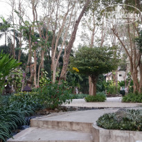 фото из отзыва ID 911553