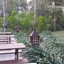 фото из отзыва ID 911553