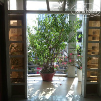 фото из отзыва ID 911757