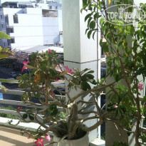 фото из отзыва ID 911757