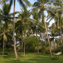 фото из отзыва ID 911888