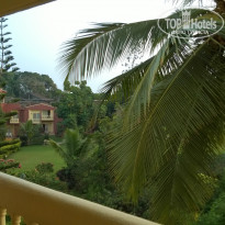 фото из отзыва ID 911888