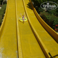 фото из отзыва ID 911957