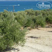 фото из отзыва ID 911957