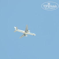 фото из отзыва ID 911961