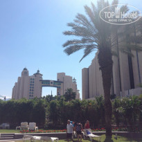 фото из отзыва ID 911973