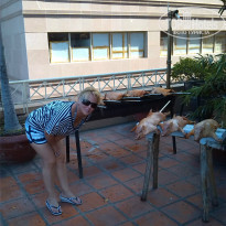 фото из отзыва ID 912210