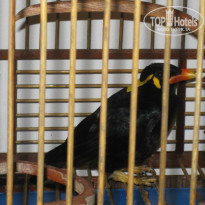 фото из отзыва ID 912380