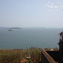 фото из отзыва ID 912417