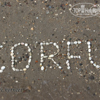 фото из отзыва ID 912453