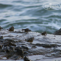 фото из отзыва ID 912568