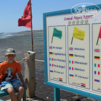 фото из отзыва ID 912648