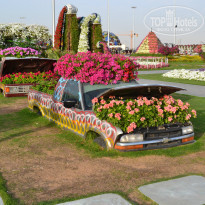 фото из отзыва ID 912732