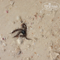 фото из отзыва ID 912938