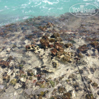 фото из отзыва ID 912938