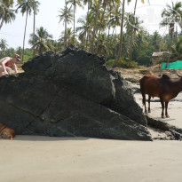 фото из отзыва ID 912959