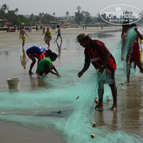 фото из отзыва ID 912959