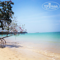 фото из отзыва ID 913032