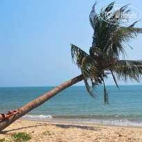 фото из отзыва ID 913172