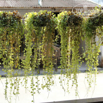 фото из отзыва ID 913293