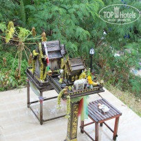 фото из отзыва ID 913293