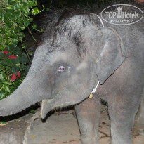 фото из отзыва ID 913293