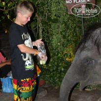 фото из отзыва ID 913293