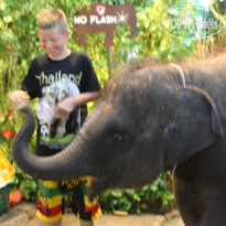 фото из отзыва ID 913293