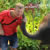 фото из отзыва ID 913293