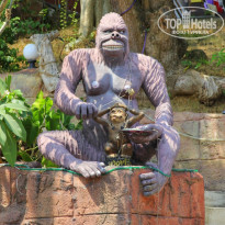 фото из отзыва ID 913293