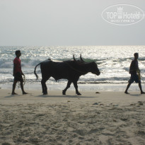 фото из отзыва ID 913622