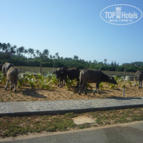 фото из отзыва ID 913660