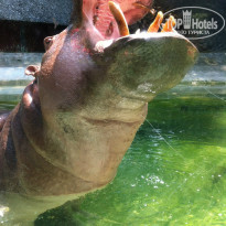 фото из отзыва ID 913723