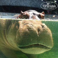 фото из отзыва ID 913723