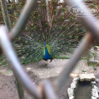 фото из отзыва ID 913723